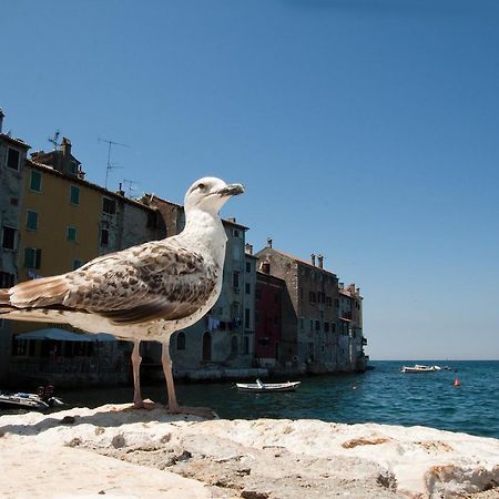 Appartement Maximus à Rovinj Extérieur photo