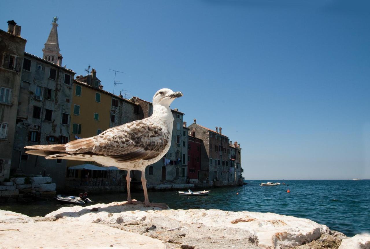 Appartement Maximus à Rovinj Extérieur photo